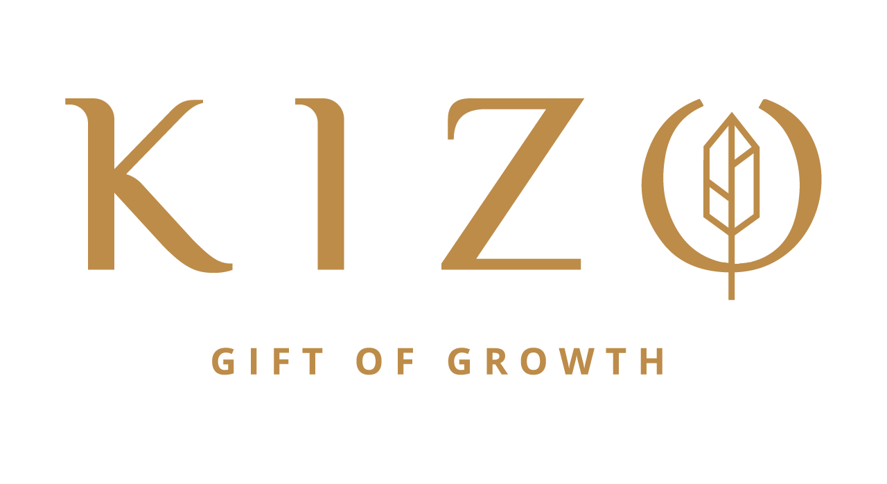 logo kizo apartment